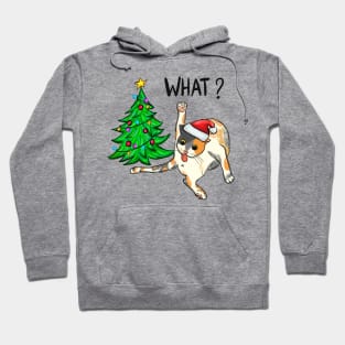 What? Cat Christmas Hoodie